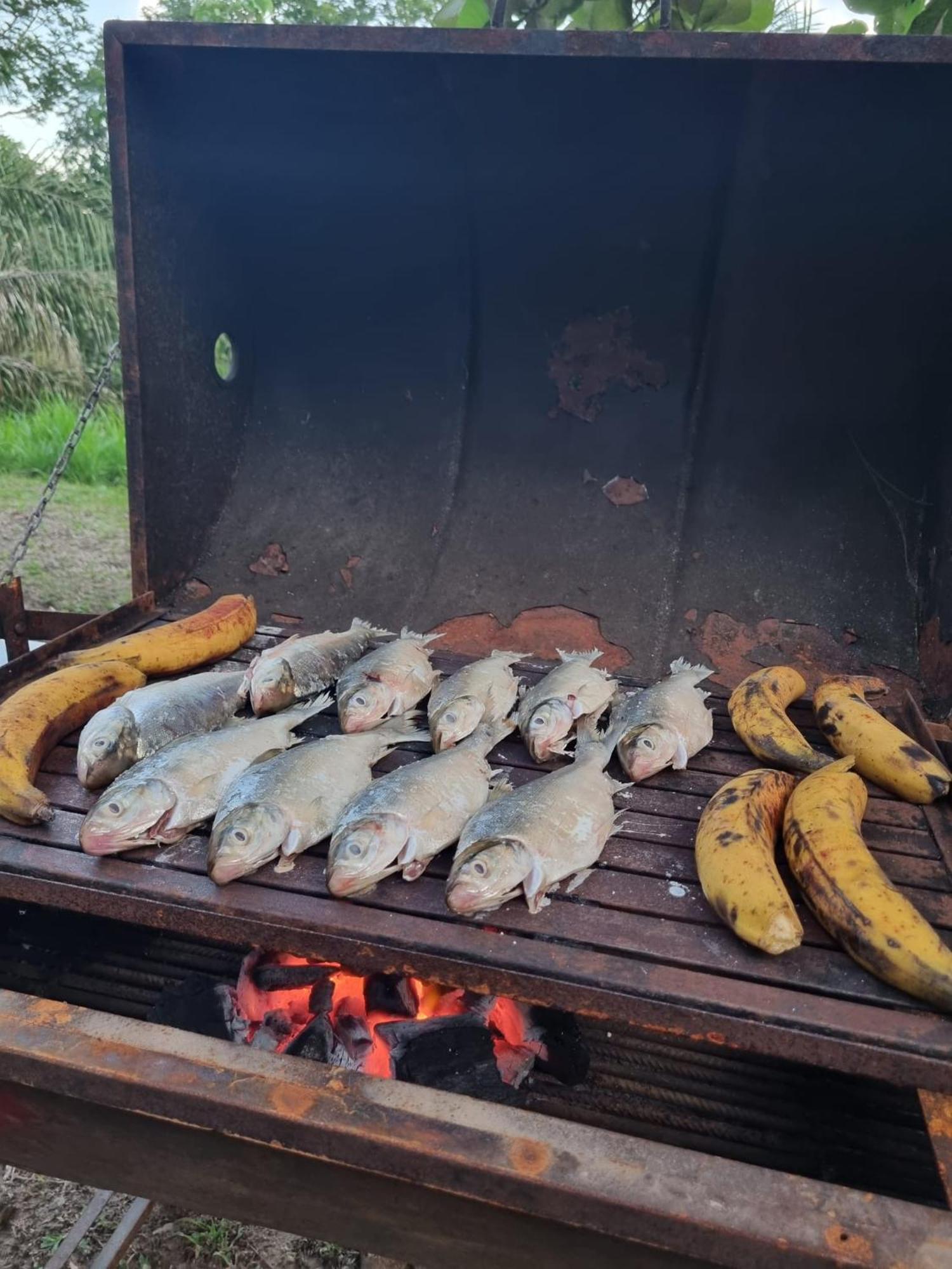 Valencia Lake Lodge Puerto Maldonado Ngoại thất bức ảnh